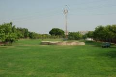 922390_652390461453417_434990179_o