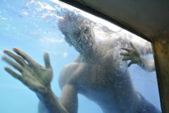 1269373_712853888740407_1090644007_o