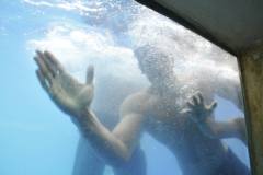 1275457_712853895407073_667859488_o