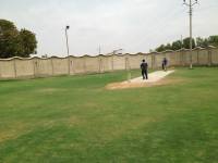 Cricket Ground