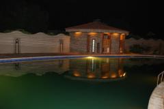 61566_637879476237849_1879020170_n