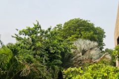 IMG-20250714-WA0019-scaled