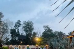 IMG-20250714-WA0025-scaled