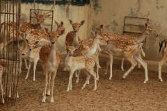 1074036_714405018585294_475732223_o