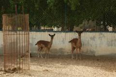 1074880_714405061918623_1056344601_o