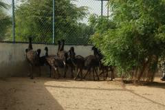 1172318_714405358585260_774304485_o