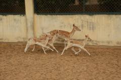 1172637_714405388585257_1521095819_o