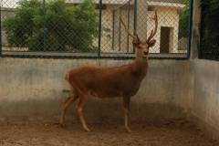 1239328_714405768585219_1322301277_o