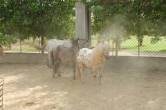 1274373_714406545251808_744143904_o