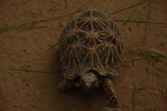 1274772_714406125251850_1484388913_o