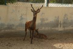 1277953_714405105251952_1237736001_o