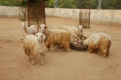 1292372_714406265251836_1283579977_o