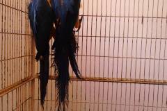 1523034_1113361858689606_1535181258213373849_o