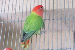 190546_649166865109110_586299253_n