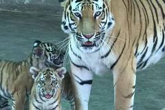 22196448_2083446831681099_5631200295580424969_n