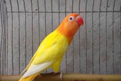 37021_649166975109099_1243323286_n (1)