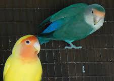 603820_649166965109100_1538370767_n