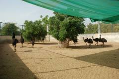 774427_714405261918603_1327801834_o