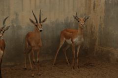 812652_714405961918533_104144969_o