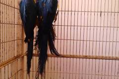 885655_1113360905356368_674060293758132937_o