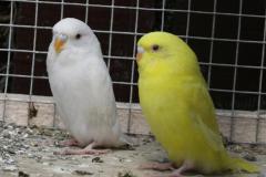 941159_649166935109103_1721947877_n (1)