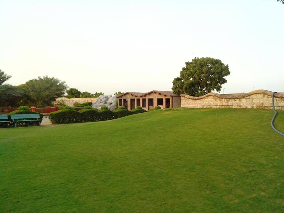 Lush Green Lawn Rani Empire
